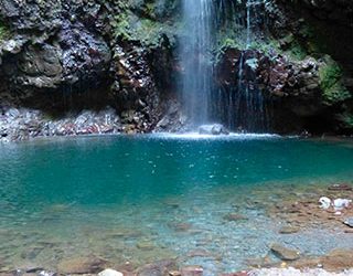 Por Madeira não é o seu destino habitual de turismo