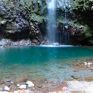 Por Madeira não é o seu destino habitual de turismo