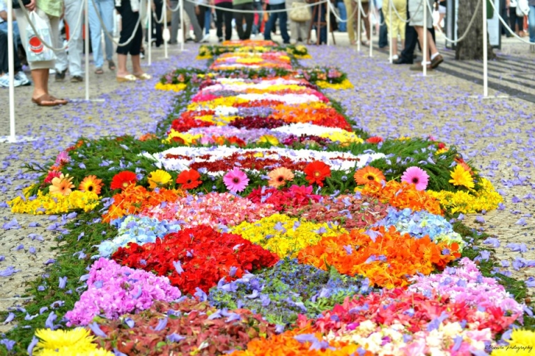 Flower Festival